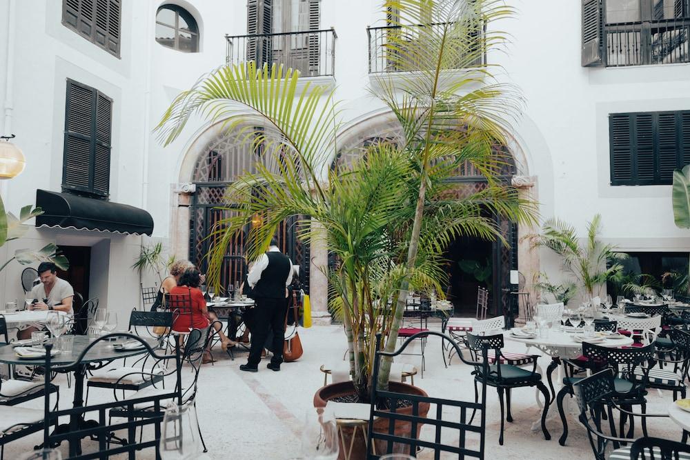 Born Palma